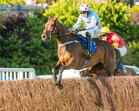 Race 3 - John Corbet Cup (72 of 127)