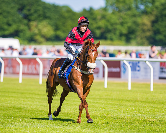 Race 1 - JFF Open Hunter Steeple Chase 2m  (8 of 202)