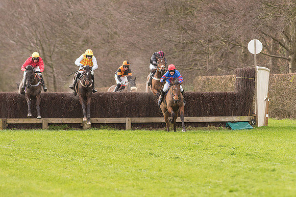 Race 2 - Young Horse Maiden (64 of 110).jpg