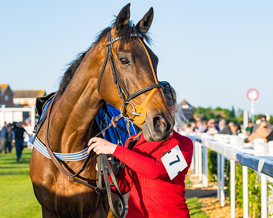 Race 6 - Restricted  (4 of 200)