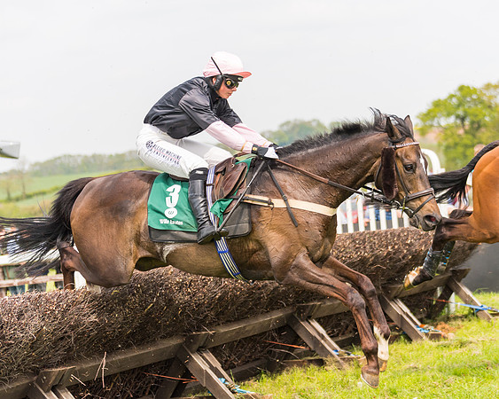Race 2 - Owner-Trainer Conditions  (115 of 208)