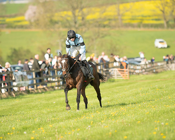 Race 7 - Maiden  (91 of 113)