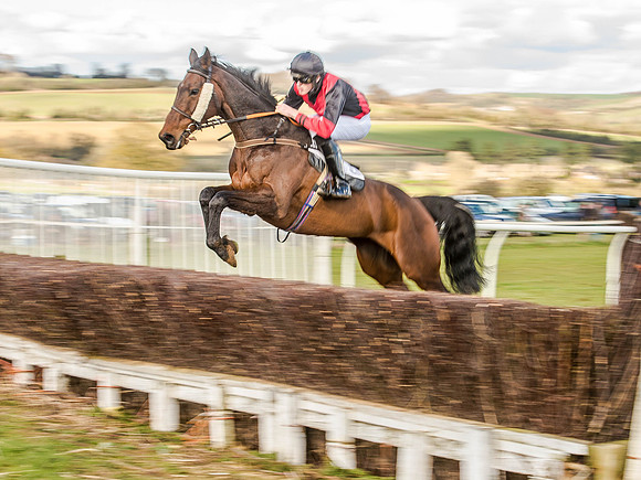 Race 6 - The Restricted Race [Nov-Vet] (35 of 84).jpg