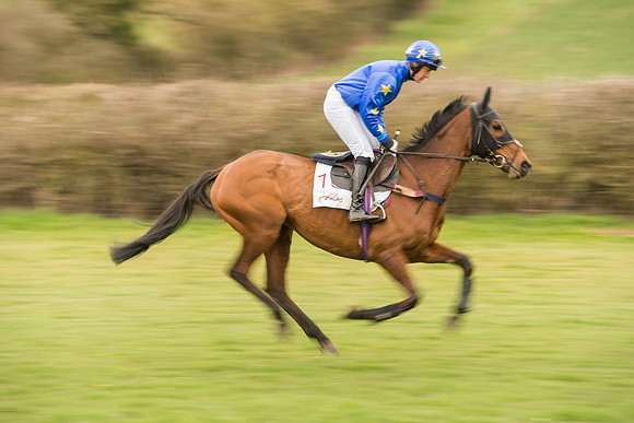 Race 7 - Open Maiden Division 2  (32 of 106).jpg