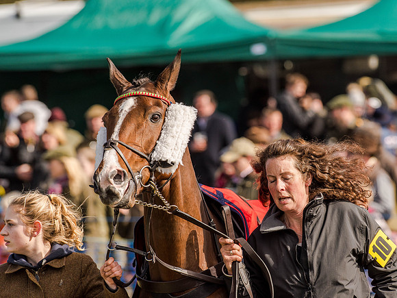 Race 5 - The Southern Grand national (5 of 96).jpg