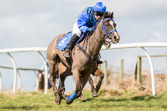 Pony Race 1 - 138cm  (23 of 57).jpg