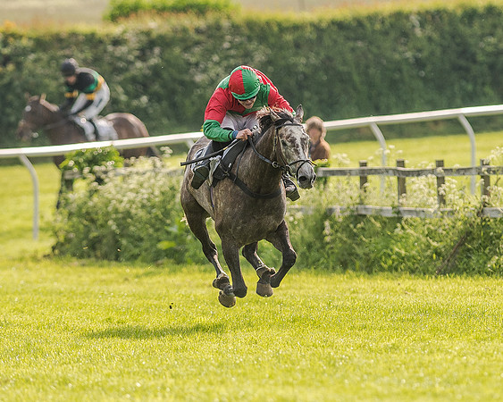 Race 7 - Div 1 - Open Maiden (66 of 94).jpg