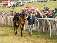 Race 3 - Mixed Open race (6 of 76).jpg