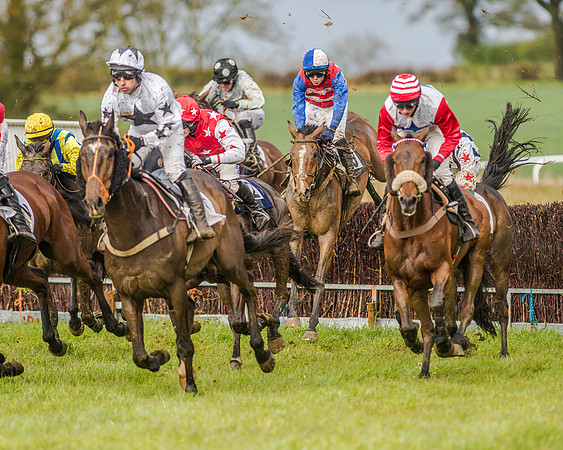 Race 5 - Open Maiden (98 of 147).jpg