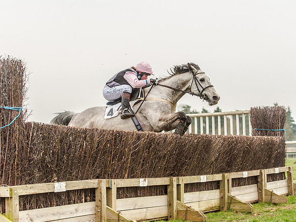 Race 5 - Open Maiden Division 2 (96 of 112).jpg