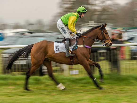 Race 5 - Open Maiden Division 2 (37 of 112).jpg