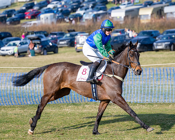Race 5 - PPORA Five years and over (40 of 163)