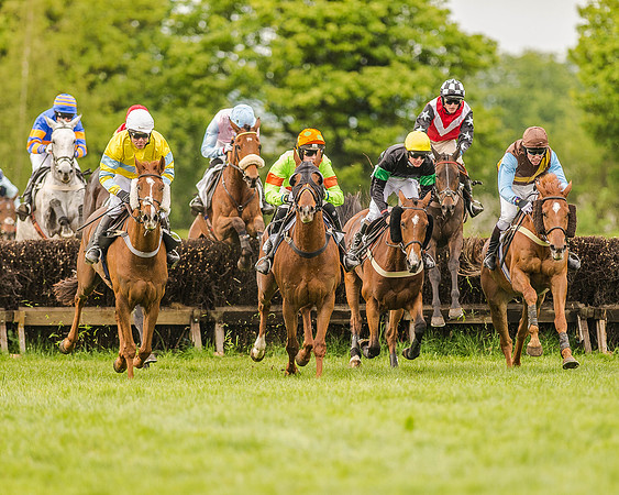 Race 5 - Intermediate Race (95 of 168).jpg