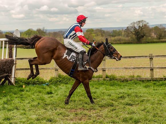 Race 3 - Young Horse maiden 2m5f (76 of 124).jpg