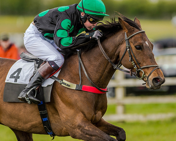 Pony Race 3 (54 of 78).jpg
