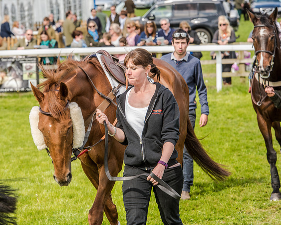 Race 4 - PPORA Novice Riders (31 of 196).jpg