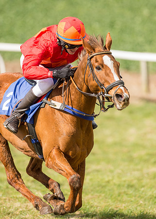 Pony Race 2 - 148cm  (35 of 49).jpg