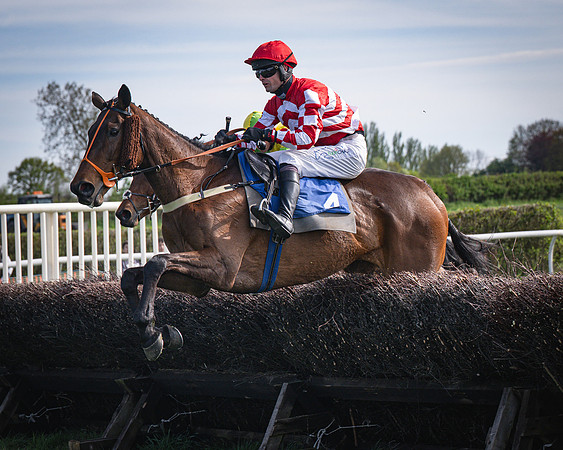 Race 5 - The 5G Restricted Race (25 of 56)