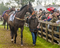 Race 5 - Open Maiden (20 of 147).jpg