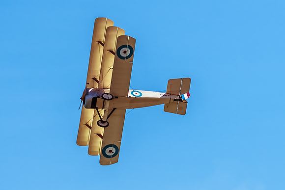 Great War Display Team (2 of 22)