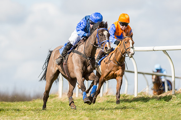 Pony Race 1 - 138cm  (20 of 57).jpg
