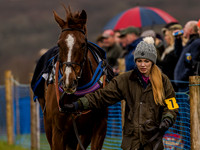 Race 1 - Confined Hunts (14 of 118).jpg