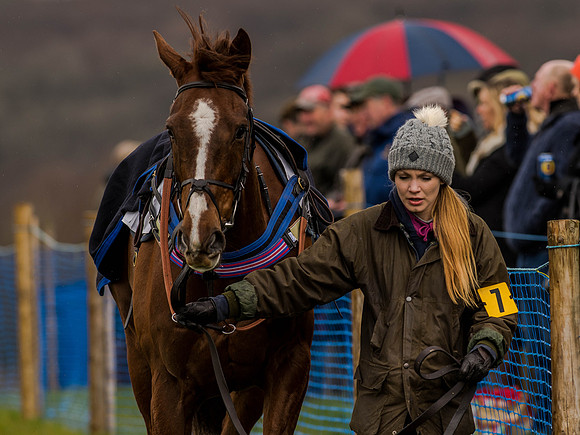 Race 1 - Confined Hunts (14 of 118).jpg