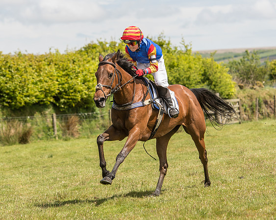 Pony Race 2  (6 of 33).jpg