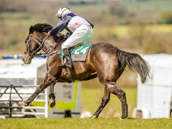 Pony Races (125 of 127).jpg