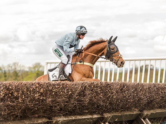 Race 3 - Young Horse maiden 2m5f (98 of 124).jpg