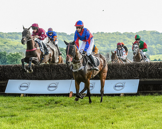 Race 7 - Div 1 - Open Maiden (34 of 94).jpg