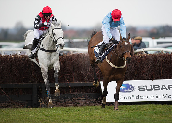 Race 6 - Confined Hunts-88