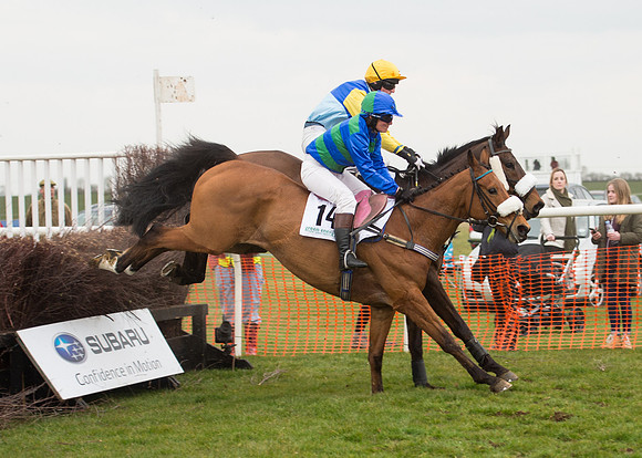 Race 6 - Confined Hunts-77