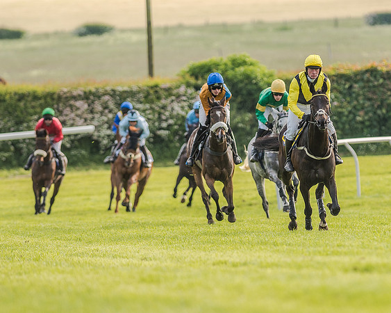 Race 7 - Div 2 - Open Maiden (73 of 163).jpg