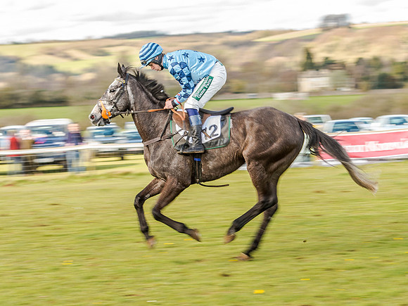 Race 6 - The Restricted Race [Nov-Vet] (25 of 84).jpg