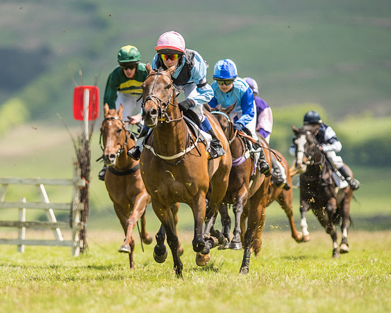 Pony Race 2  (2 of 33).jpg