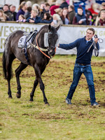 Race 3 - PPORA Club Members Novice Riders (11 of 75).jpg