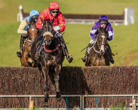 Race 7 - PPORA Club Members for Novice Riders (51 of 81).jpg