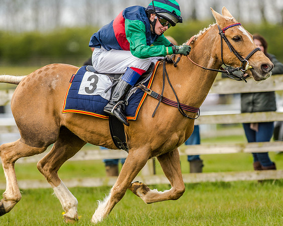 Pony Race 2 (57 of 77).jpg