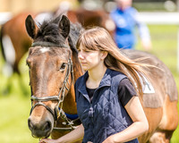 Pony Race 1  (11 of 99).jpg