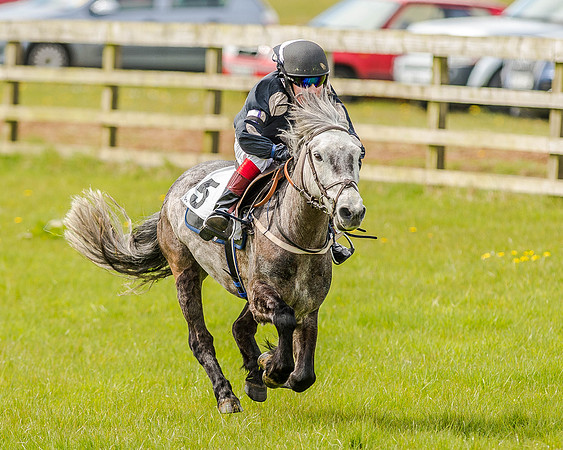 Pony Race 1  (41 of 65).jpg