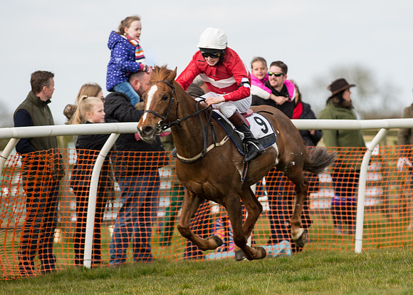 Pony Race 1 - 138cm -84