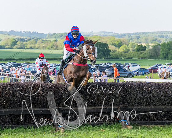 Race 7 - Veteran Horse (124 of 246)