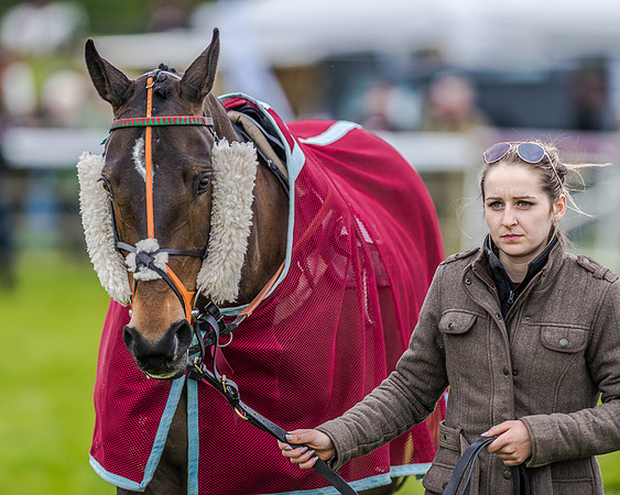 Race 4 - PPORA Novice Riders (8 of 151).jpg