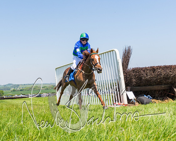 Pony Races  (35 of 141)
