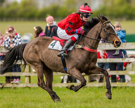 Pony Race 2 (46 of 77).jpg