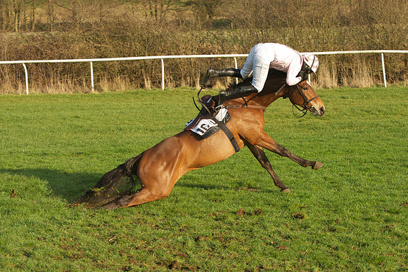 Race 7 - 29