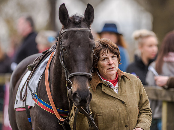 Race 5 - Open Maiden Division 2 (7 of 112).jpg