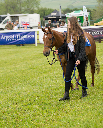 Pony Race 2 (16 of 113)
