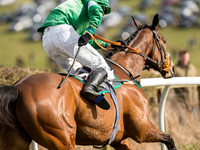 Race 3 - Mixed Open